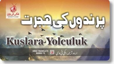 Photo of Kuslarla Yolculuk Episode 18 In Urdu Subtitles