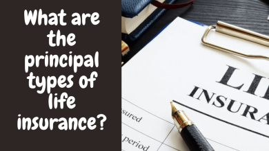 What Are The Principal Types of Life Insurance