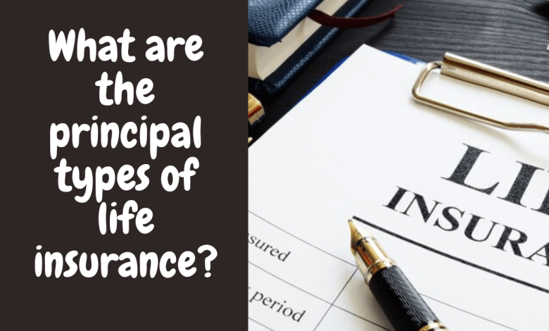 What Are The Principal Types of Life Insurance